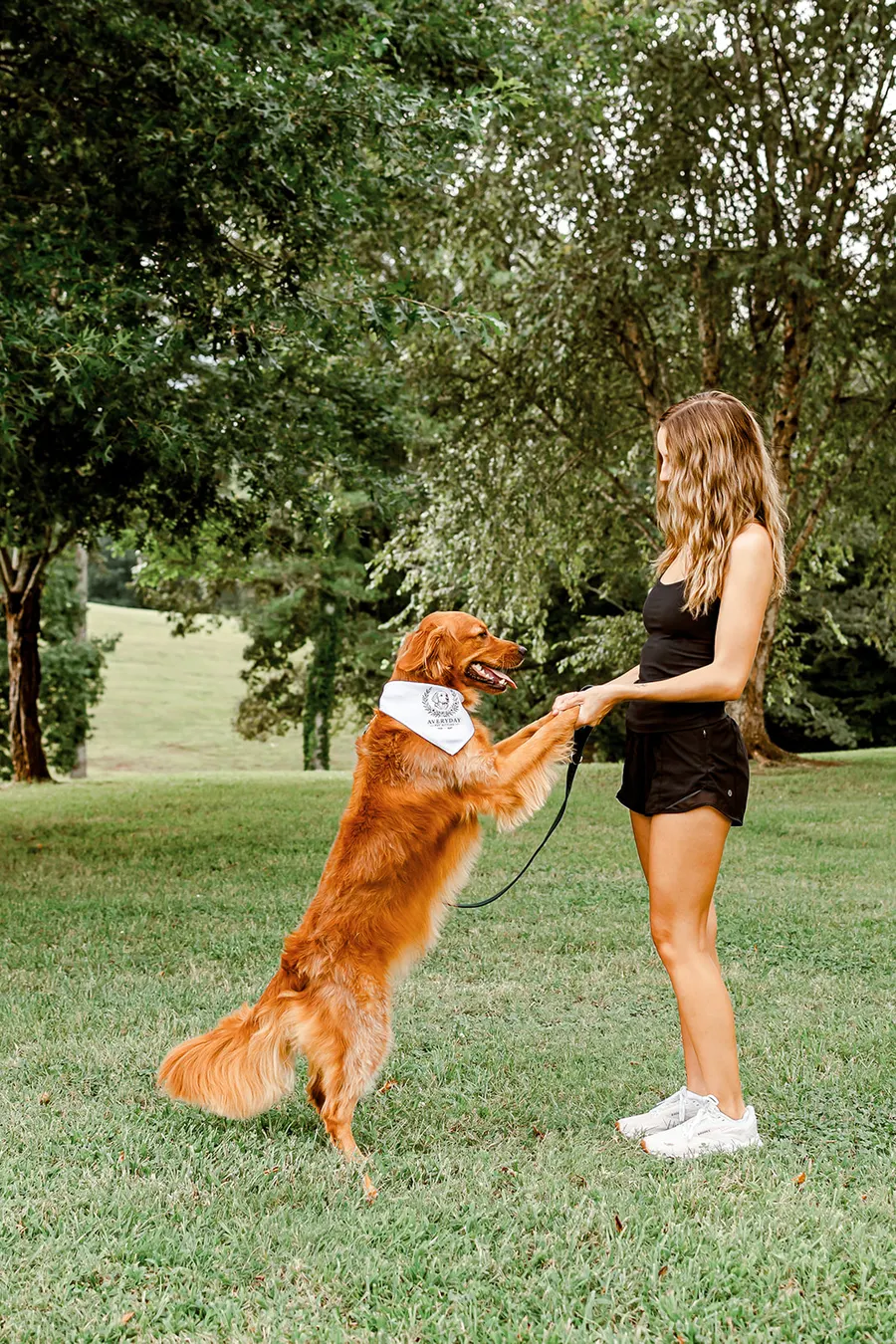The golden retriever jumping up to Avery