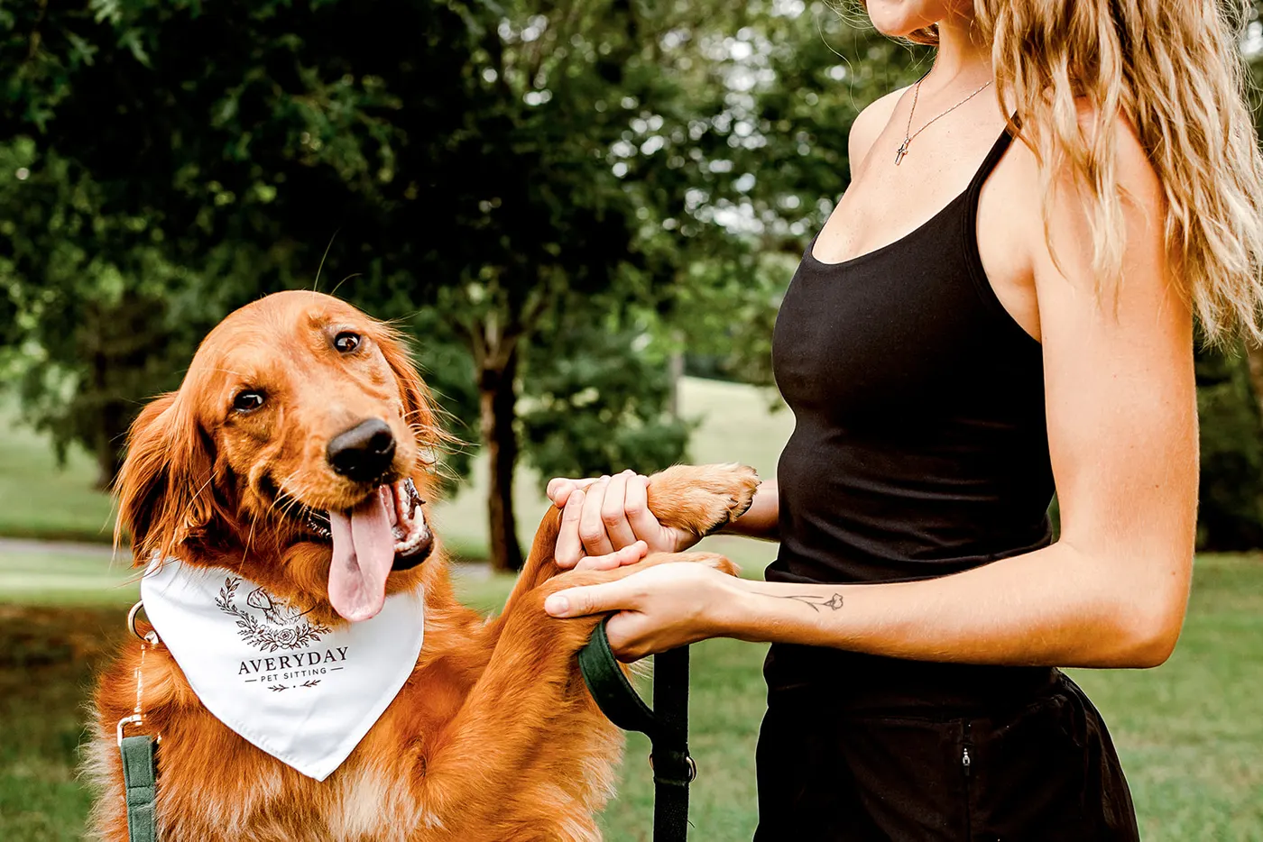 The golden retriever offering Avery a paw