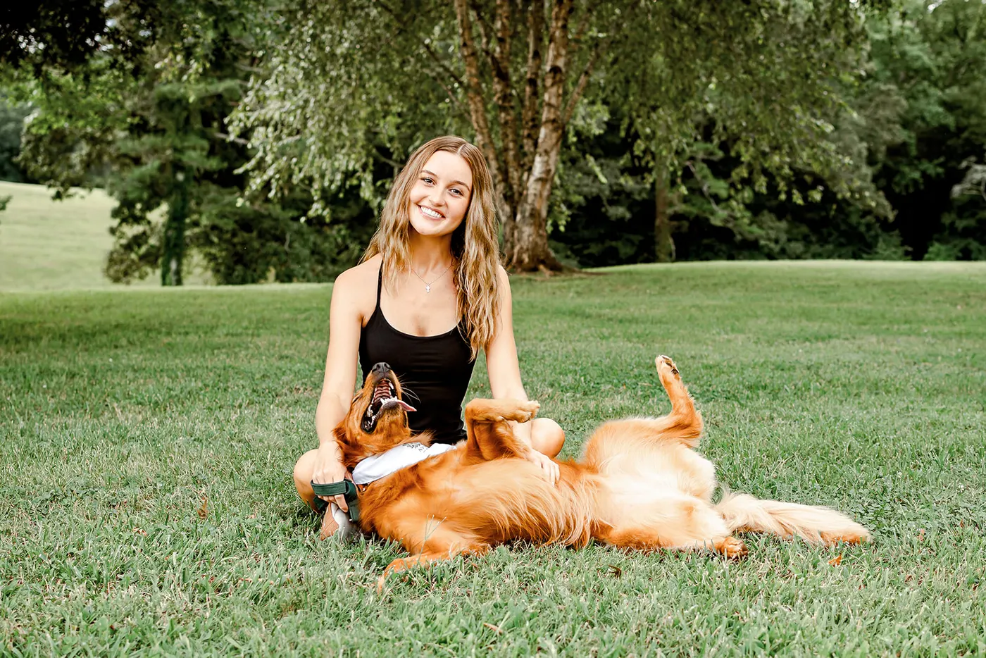 Avery sitting in the grass while the golden rolls over for a belly rub
