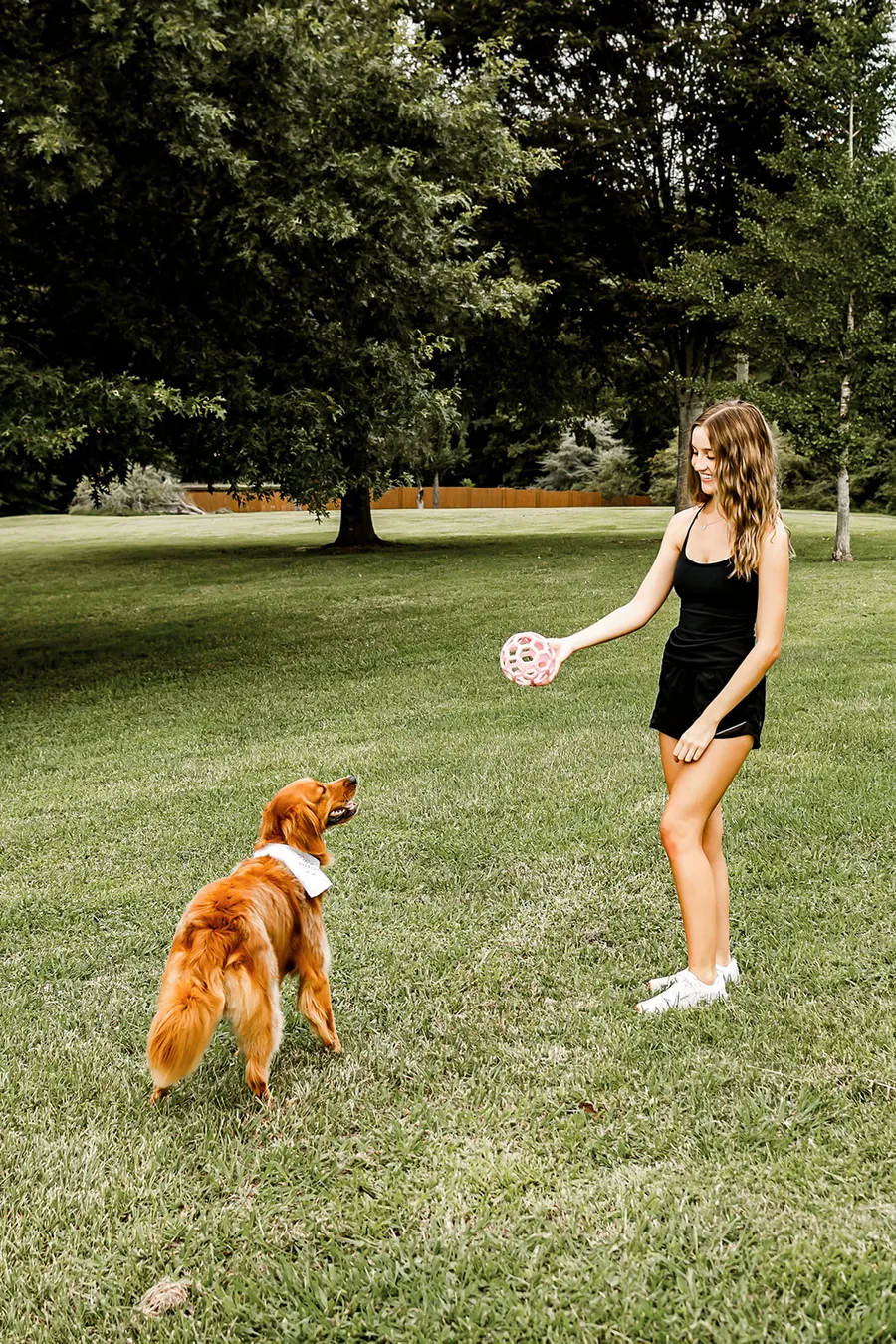 Avery holding out the pink ball while the golden waits
